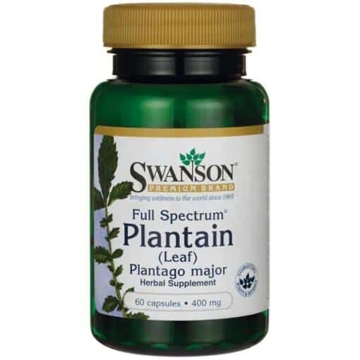 Swanson - Full Spectrum Plantain (Leaf) Plantago Major